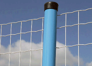 ��·���o(h��)�W(w��ng)�İl(f��)չ�΄�(sh��)�cڅ��(sh��)��B��